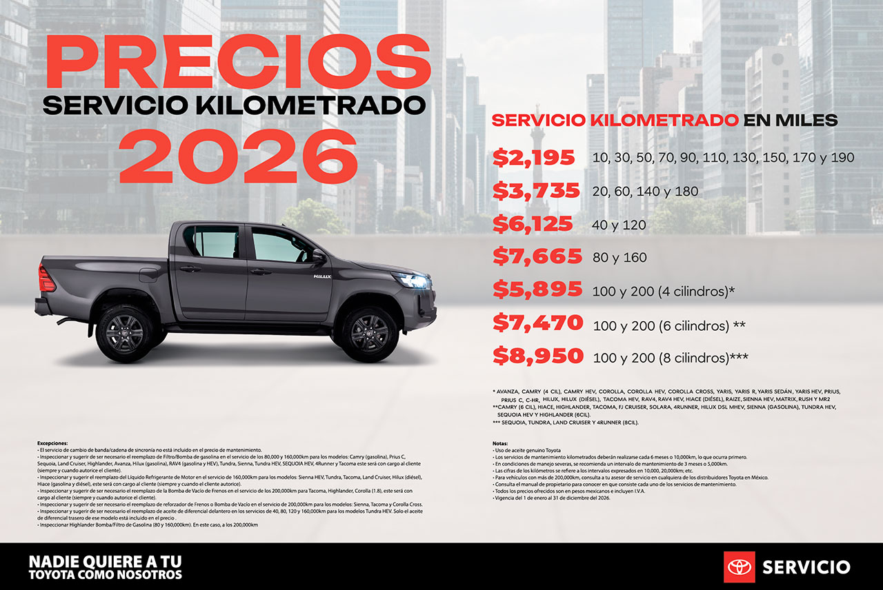 Precios de servicio kilometrado 2025